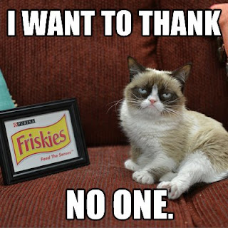 Grumpy Cat Saying No