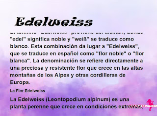 significado del nombre Edelweiss
