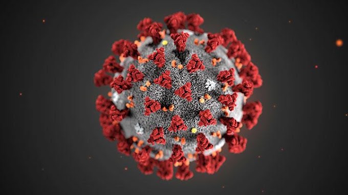 Virus Korona : Cara Penularan, Gejala dan Pencegahan