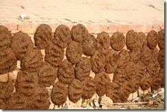 cow_dung_fuel_cakes