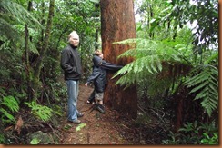 Blue Mountains 2011-06-16 022