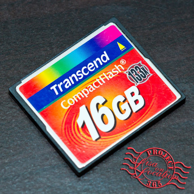 365 photo challenge, Lisa On Location photography, New Braunfels, Texas. Transcend compact flash CF memory card