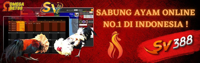 Omegabet88 Situs Sabung Ayam SV388 Live No.1 Di Indonesia