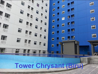 TOWER CHRYSANT