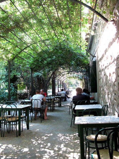 Mẫu thiết kế quán Cafe sân vườn