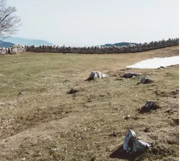 토지대장 발급 절차