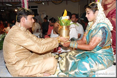 ACTRESS_MEENA_WEDDING_PHOTOS-__8_