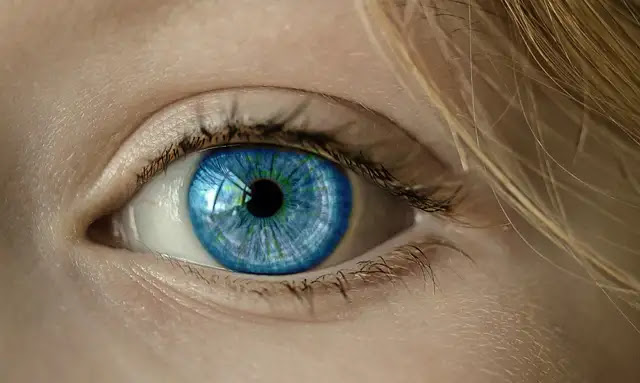 57 Fascinating Facts About Blue Eyes: From Genetics to Perception