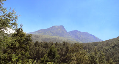 Mendaki Gunung Lawu- 3 Hari Menikmati Sensasi Dinginya Gunung Lawu