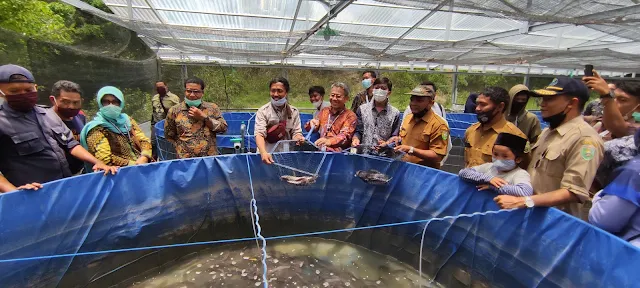 Panen Perdana, Tim OMT Aquaculture UTS Sukses Budidaya Lele dengan Sistem Biofloc