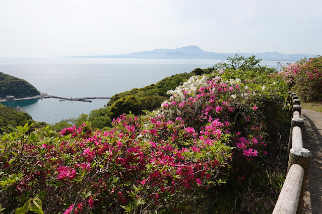 島根県松江市美保関町美保関 五本松公園からの眺望