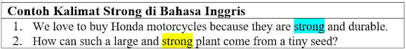 25 Contoh Kalimat Strong di Bahasa Inggris dan Pengertiannya
