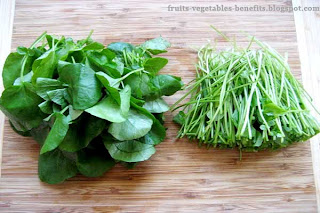 benefits_of_eating_watercress_fruits-vegetables-benefits.blogspot.com(2)