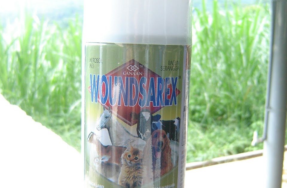 Projekmeru.blogspot.com: Wound Sarex - Ubat Luka