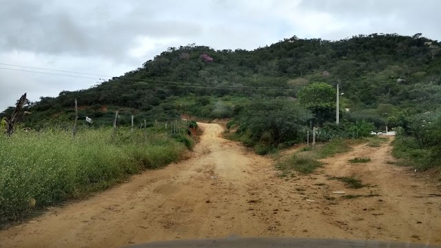 Moradores cobram da prefeitura de Carnaíba a reforma da estrada que liga Novo Pernambuco à Ibitiranga