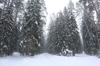 Taevaskoja spordirajad
