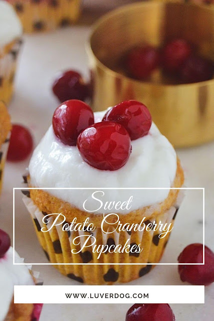 Sweet Potato Cranberry Pupcakes