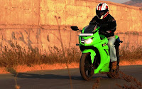 Kawasaki Ninja 250R