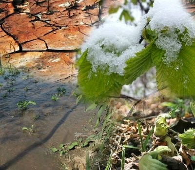 Doğal afetler tarımda büyümeyi vurdu…