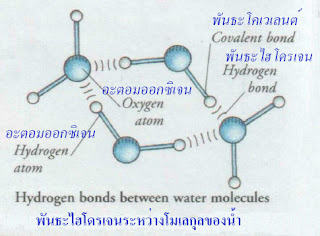 Bonds between molecules