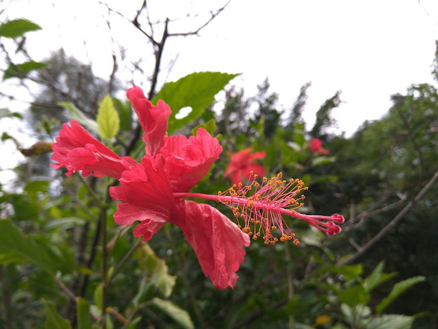 富陽公園一隅