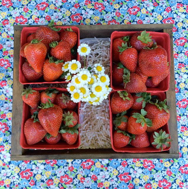 Farm Fresh Fun, Serving Strawberries - www.jacolynmurphy.com