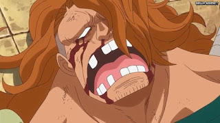 ワンピースアニメ ドレスローザ編 645話 ブー | ONE PIECE Episode 645