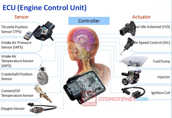 Hasil gambar untuk gambar sensor sensor electronic