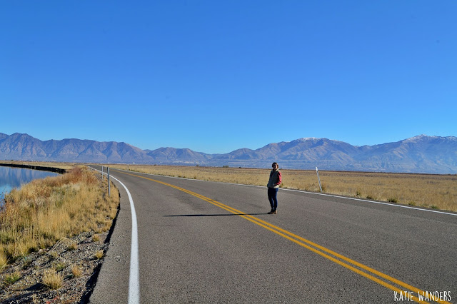 Bear River Migratory Bird Refuge