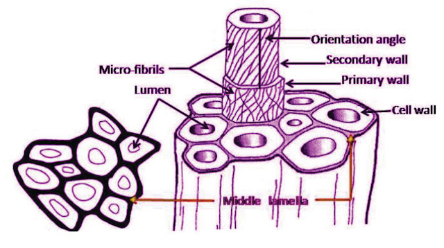 Physical properties of textile fibers?