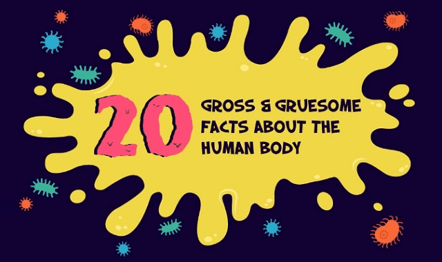 20 Gross & Gruesome Facts About The Human Body