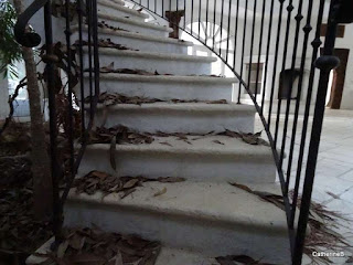 urbex-P.A.C.A.-villa-tropicale-escalier-jpg