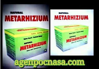 Jual METARHIZIUM Pembasmi Ulat