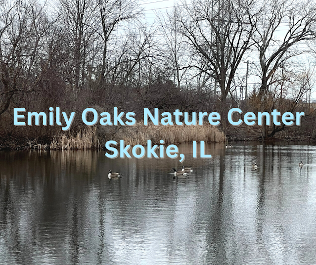Winter Walk At Emily Oaks Nature Center in Skokie, Illinois