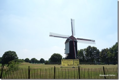 05-DSC00799