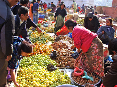Lists of most common fruits of Nepal