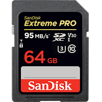 SanDisk Extreme Pro SDSDXXG-064G-GN4IN SDXCカード