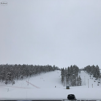 27 Feb 2017 (MON)(Activity) Finland_薩里山Saariselkä Ski & Sport Resort滑雪場&超好玩的滑雪橇