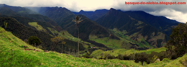 valle de cocora