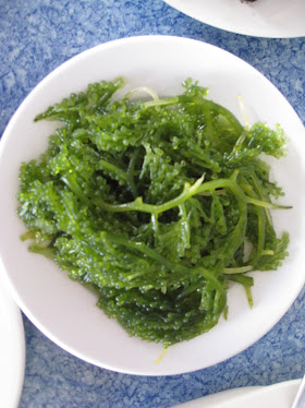 Seaweeds