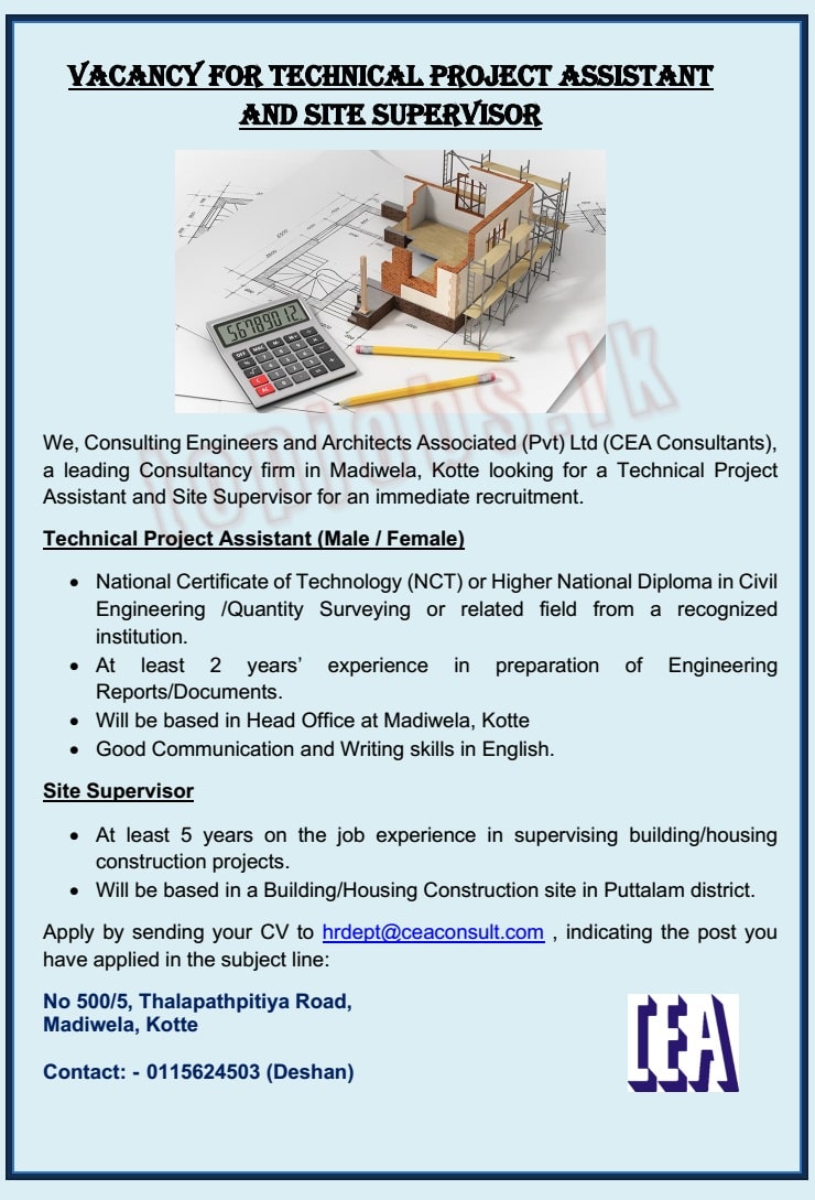 Technical Project Assistant Vacancy