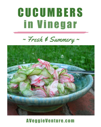 Cucumbers in Vinegar, another easy summer salad ♥ AVeggieVenture.com. An old-fashioned cucumber salad, just cucumbers and a few pretty-pretty radishes in vinegar seasoned with no more than a little salt. So fresh and summery! Great for Meal Prep. Pretty! Vegan. Gluten Free. Weight Watchers Friendly.