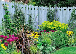 Tips And Tricks That You Need To Know About Landscaping