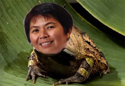 Hee Yit Foong traitor frog