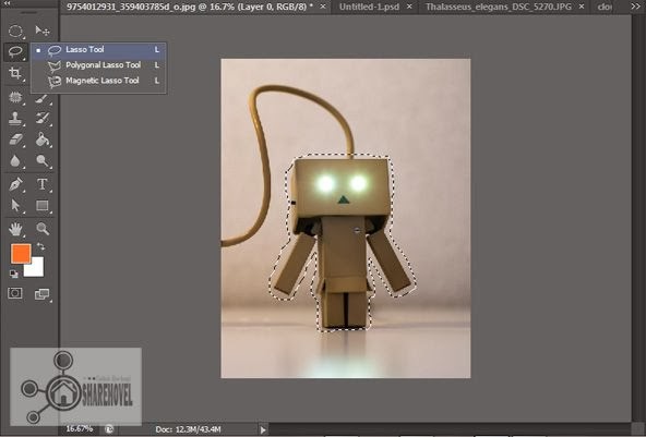 Cara Menggunakan Lasso Tool di Photoshop
