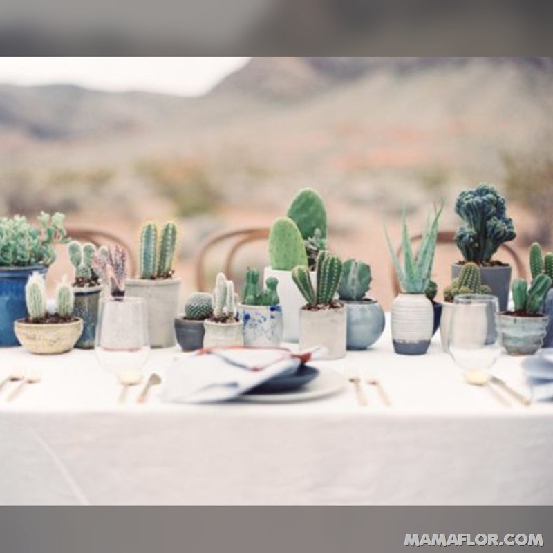 Centros-de-mesa-para-Boda-con-cactus-y-suculentas-9