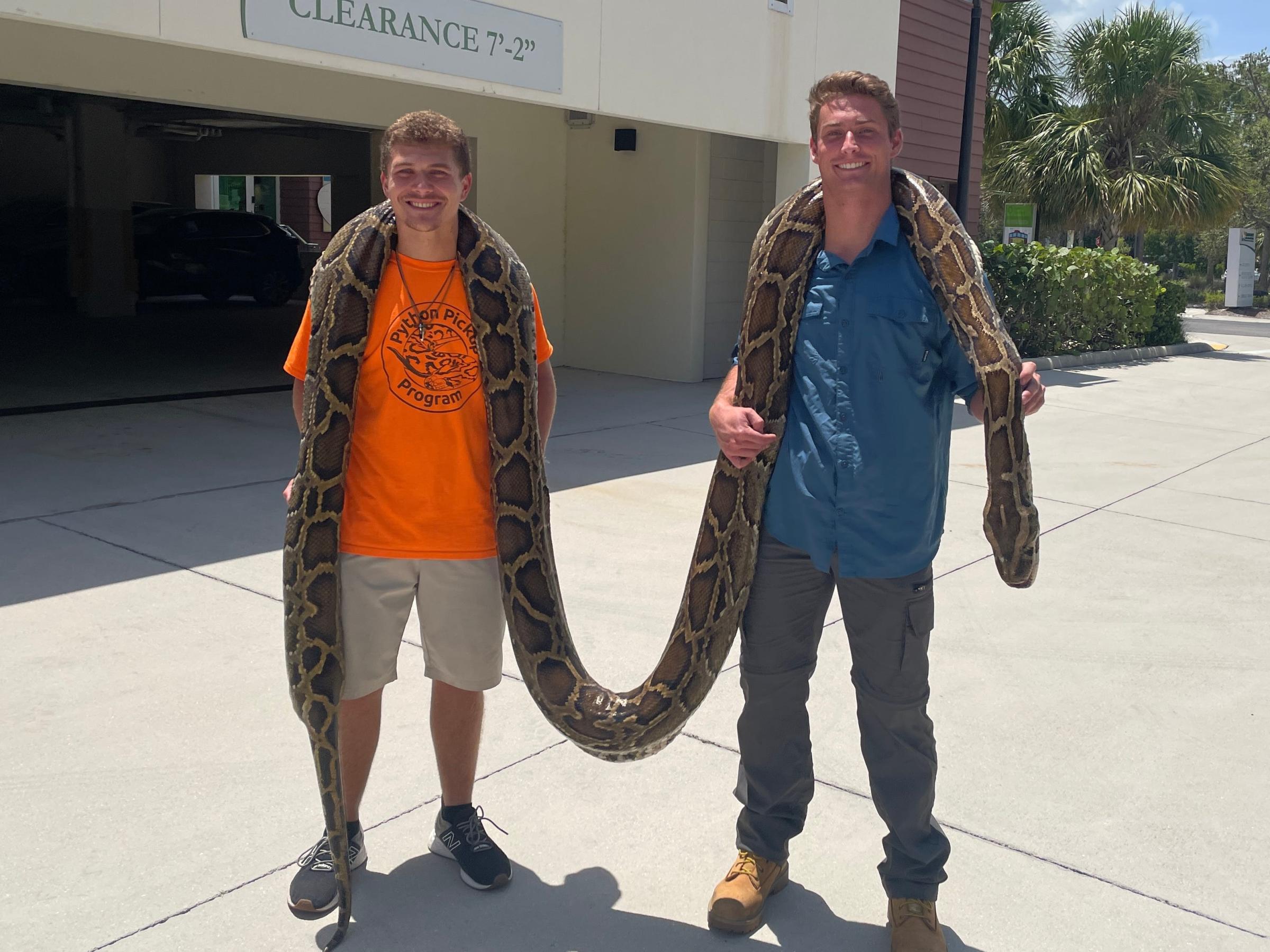 daily timewaster: Two hunters in Florida have successfully wrangled the ...