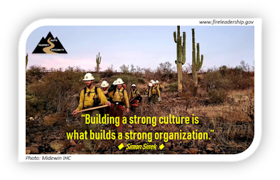 Wildland firefighters walking through cacti