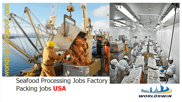 How to apply for seafood factory jobs