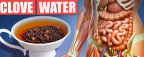 Clove water and our digestive system